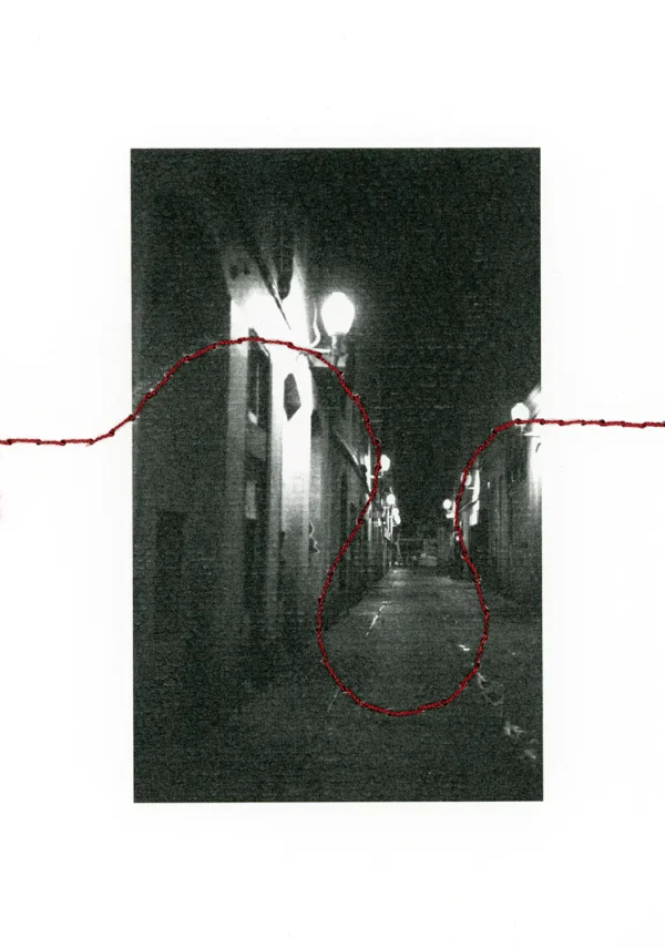 Bordado 33