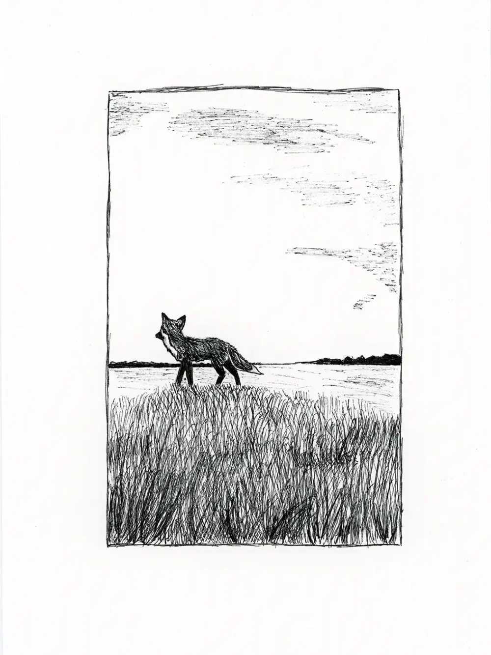 Dibujo 03