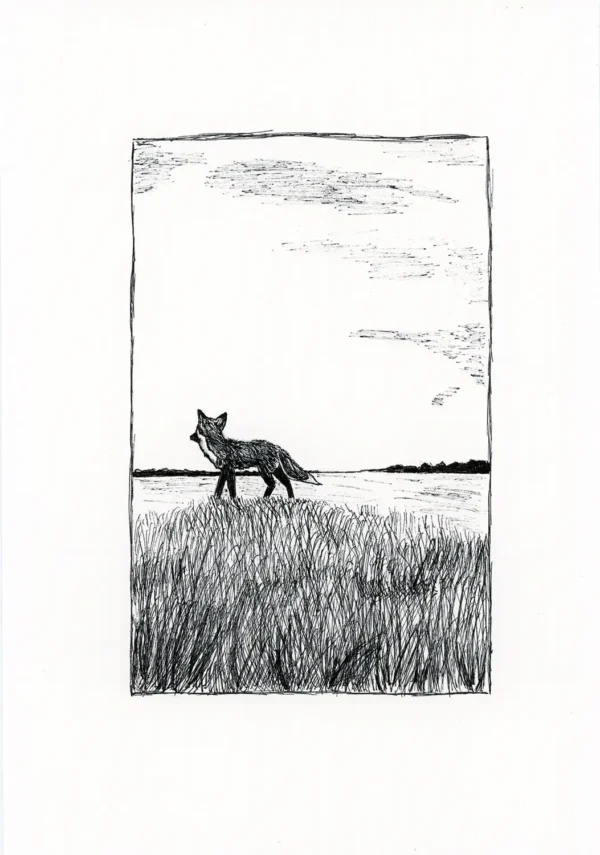 Dibujo original 01