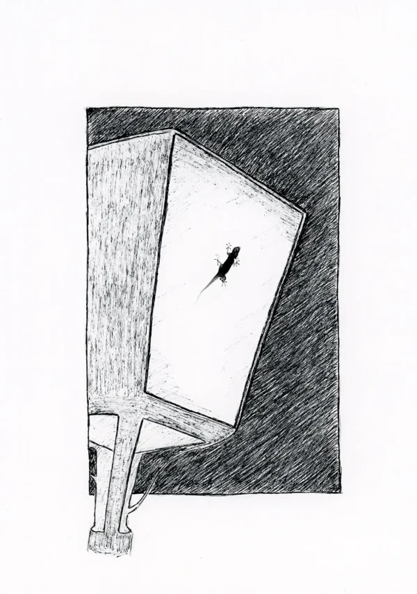Dibujo 09