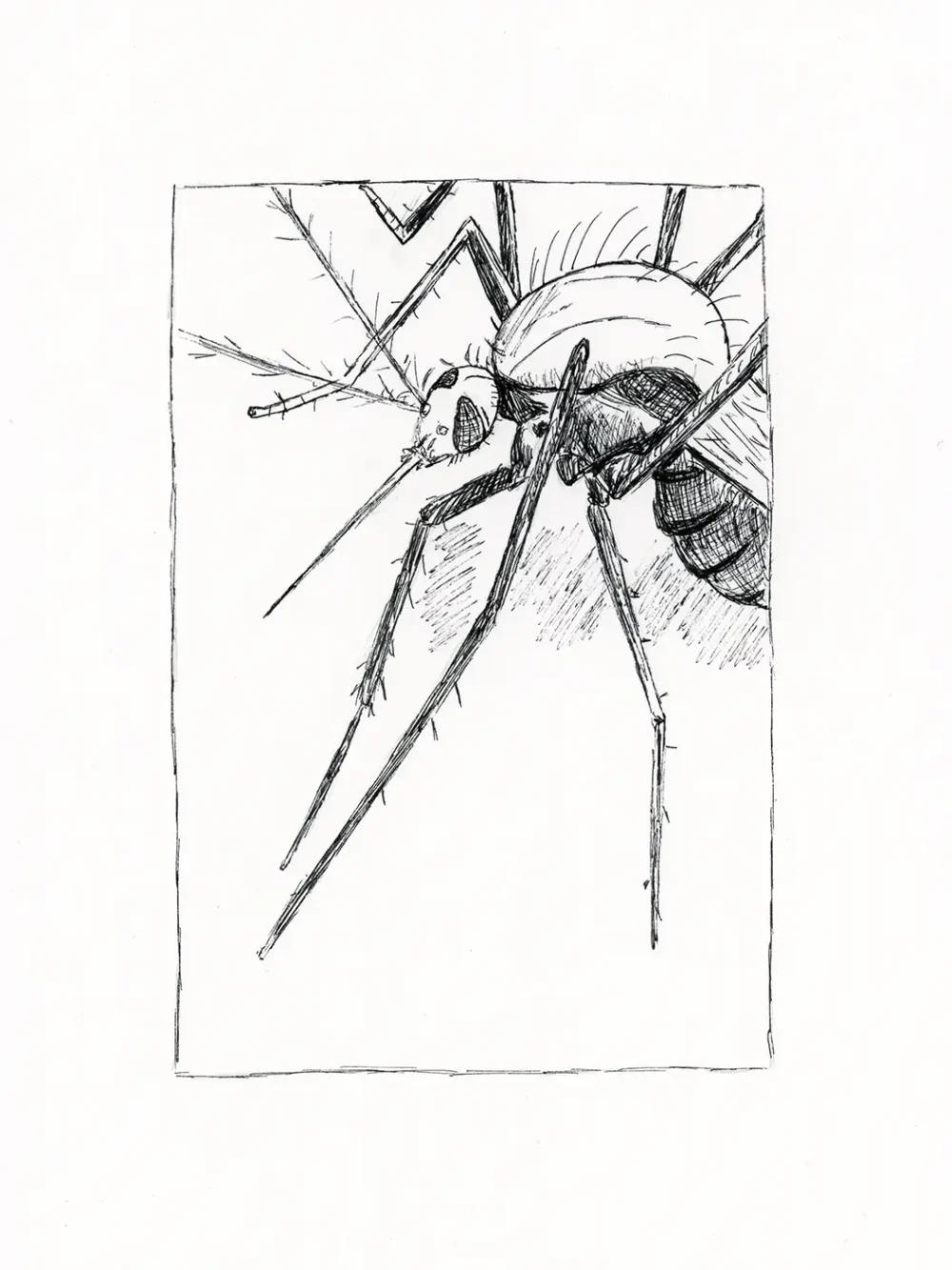 Dibujo original 09