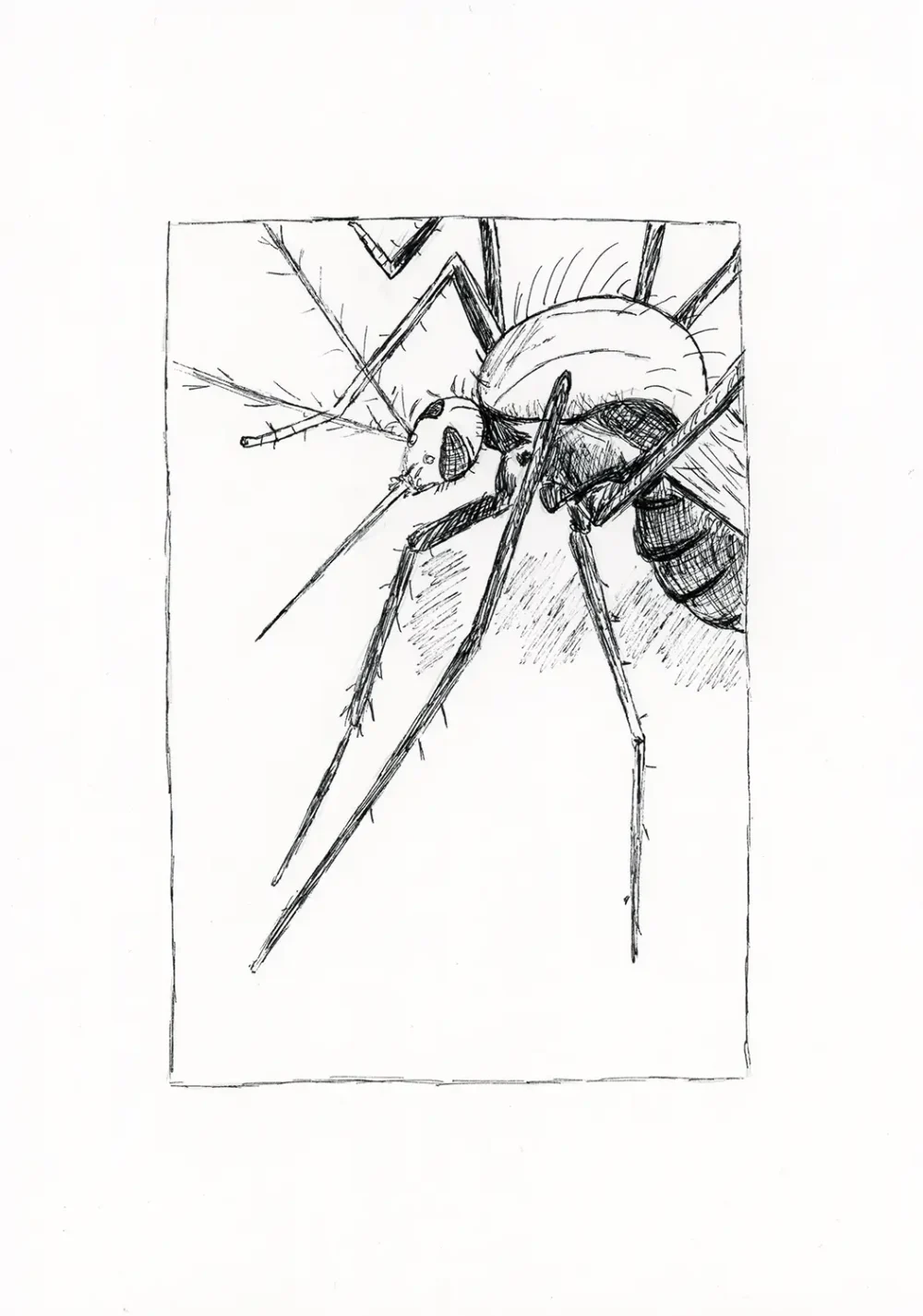 Dibujo original 09