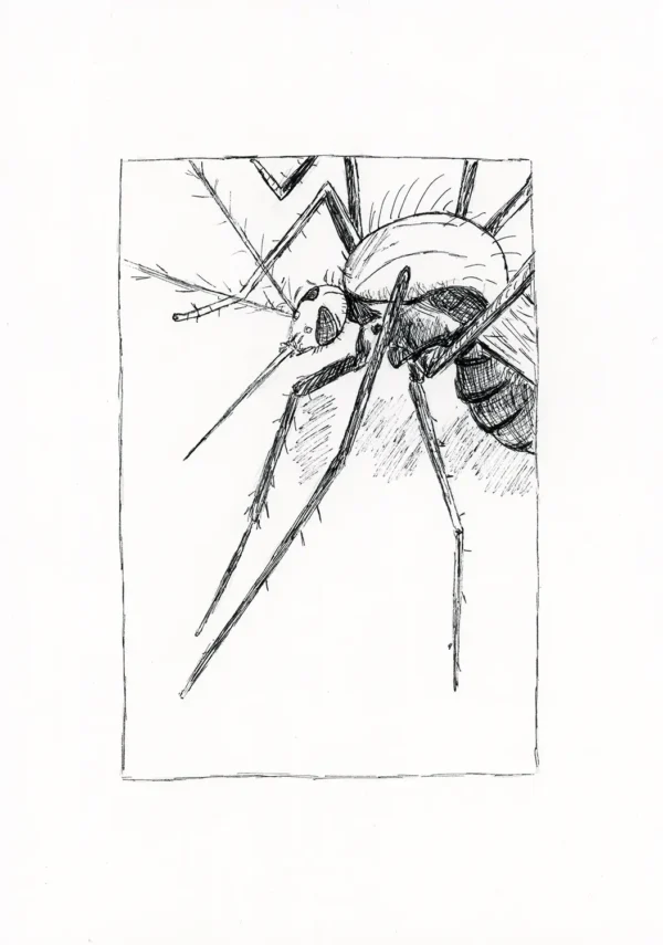 Dibujo original 09
